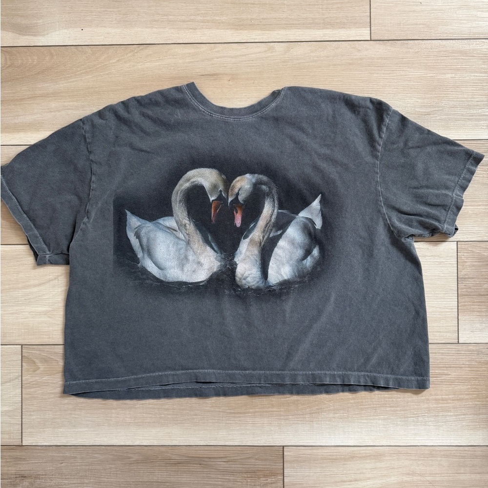 Dressed in Lala Gray Swan Weirdo Cropped T-shirt